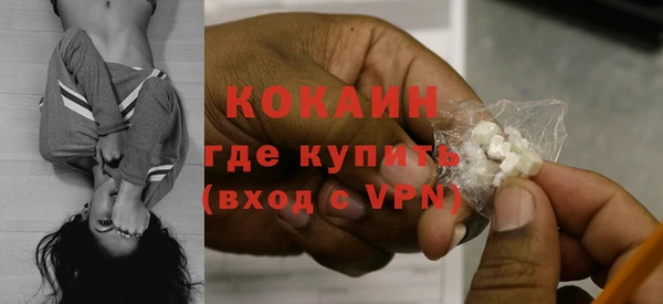 дурь Пересвет