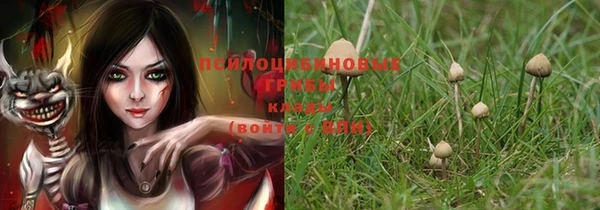 спайс Пестово
