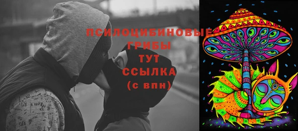 кристаллы Покачи