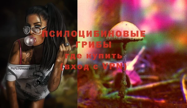 дурь Пересвет