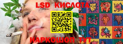 сатива Сланцы