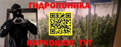 сатива Сланцы