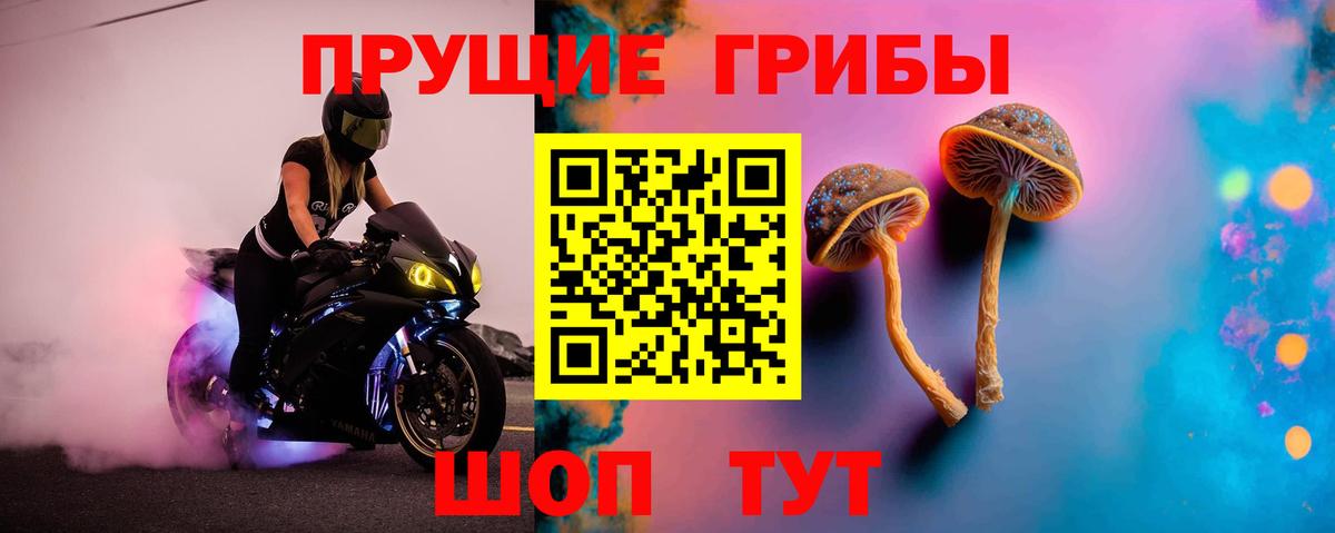 Симферополь  Галлюциногенные грибы MAGIC MUSHROOMS  Галлюциногенные грибы ЛСД  Вход с VPN 
